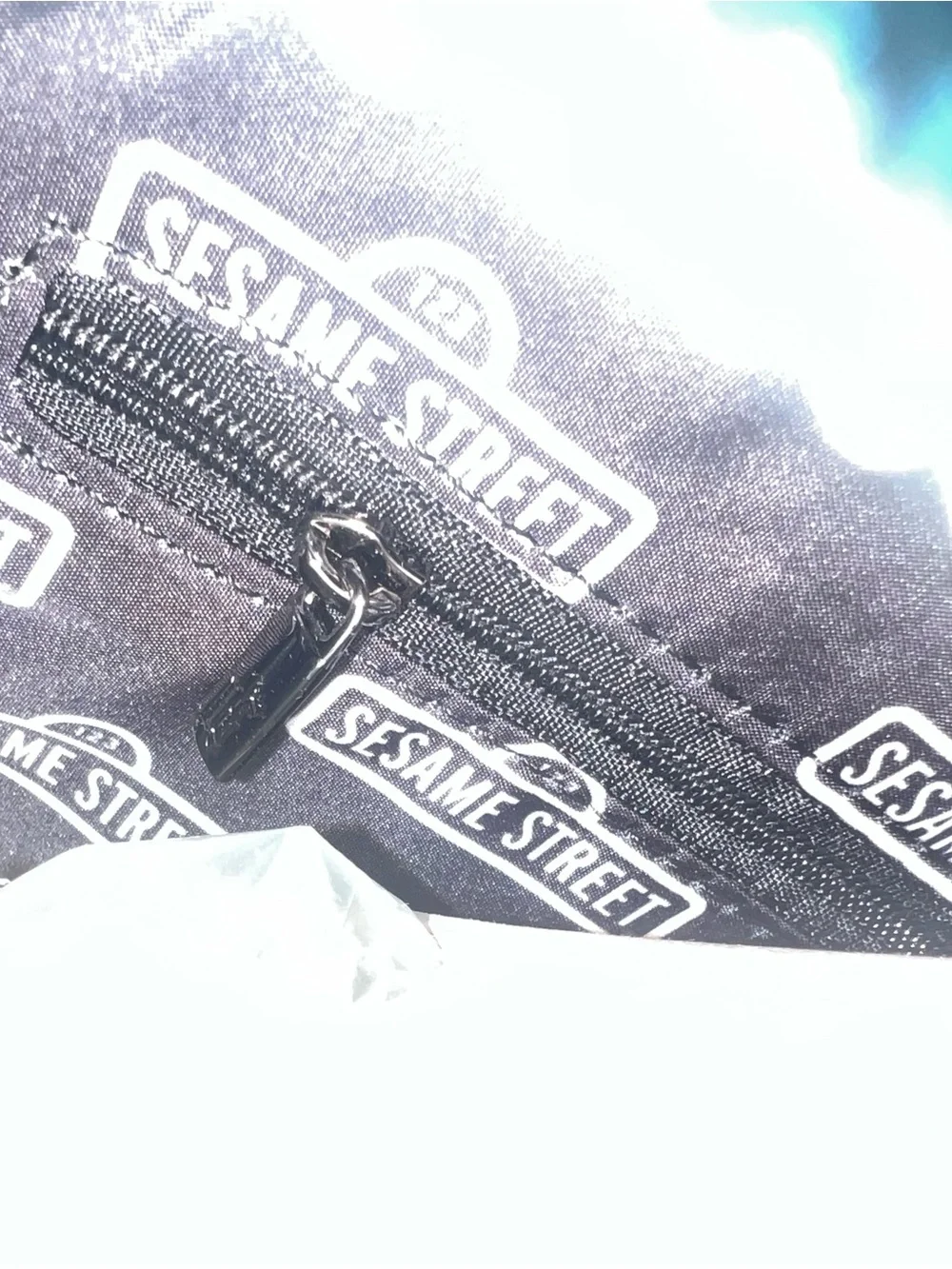 Sesame Street Black Pouch with Green Zipper